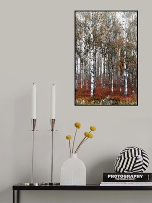 Autumn Birch
