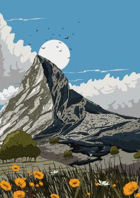 Mountain Wildflower Meadow