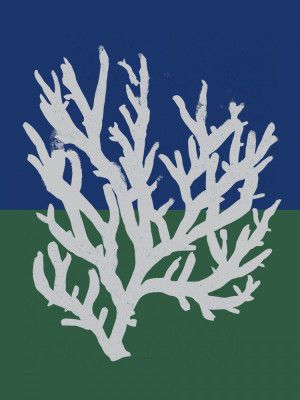 White Coral Silhouette