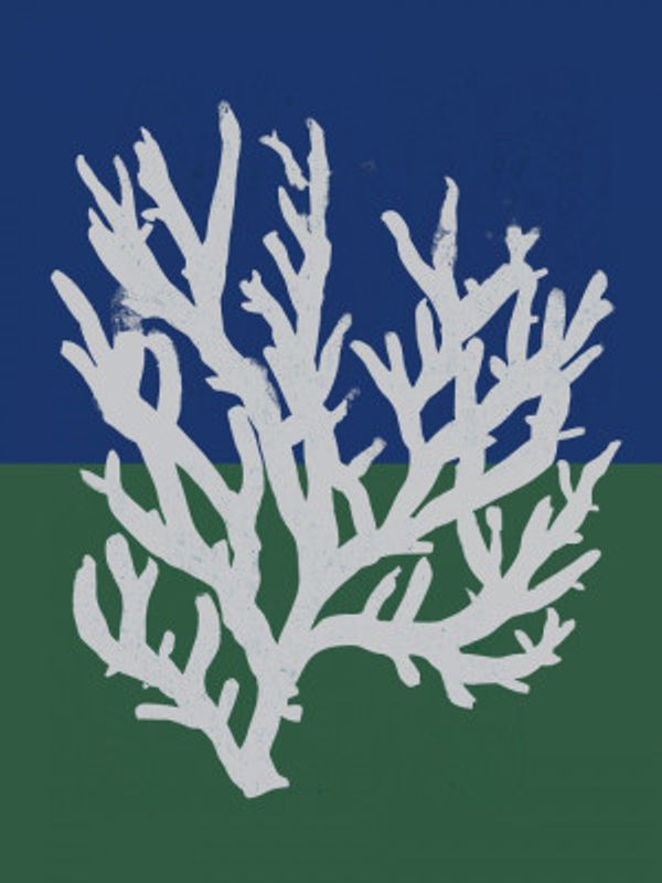 White Coral Silhouette