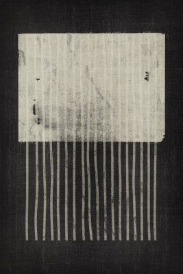 The Cool Square Jellyfish