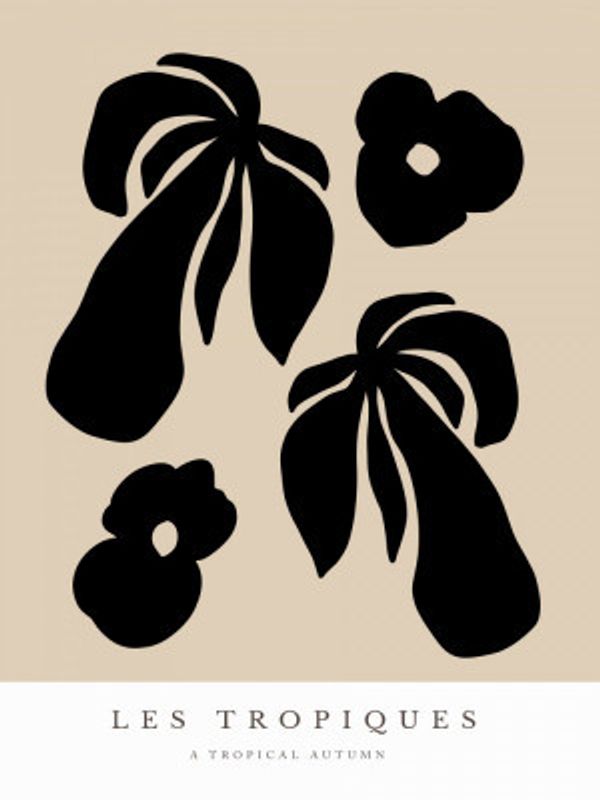 Tropical Silhouettes