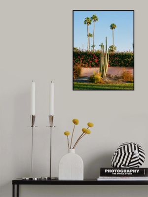 Palm Springs Morning II on Film
