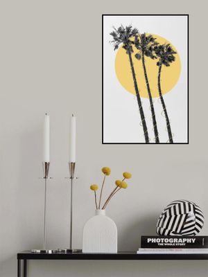 Palm Trees in the sun | golden touch