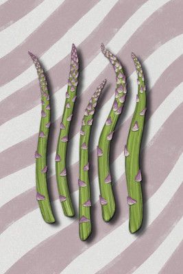 Asparagus