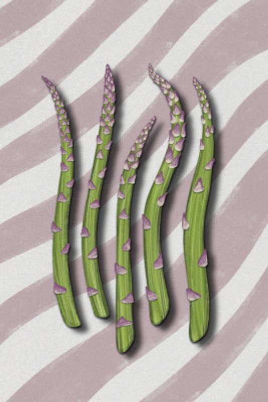 Asparagus