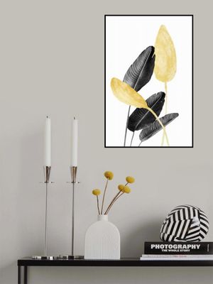 Bird of Paradise Plant Black, White and Gold 02