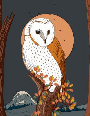 Owl At Midnight