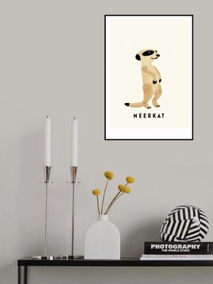 Meerkat