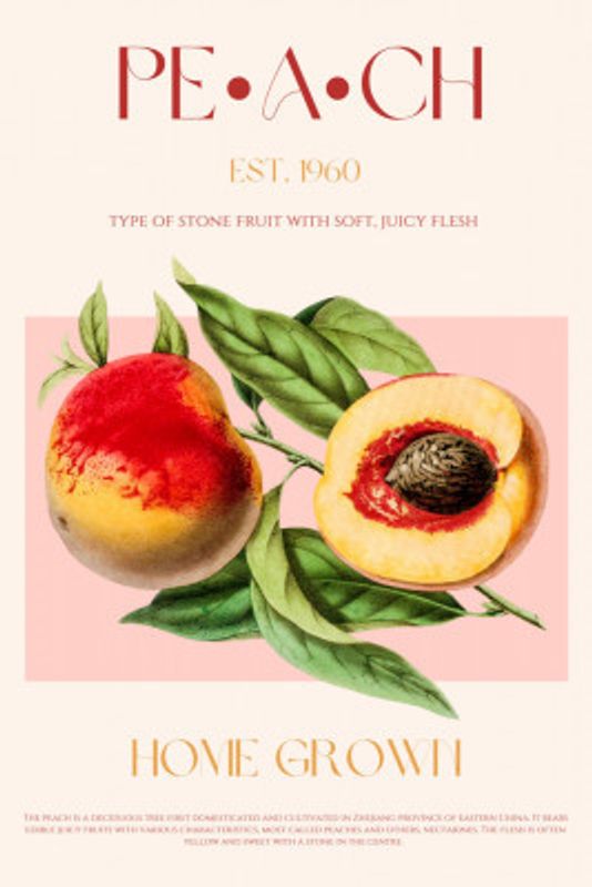 Vintage Style Peach Illustration