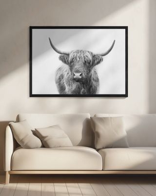 Highland Bull