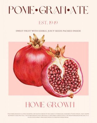 Juicy Pomegranate