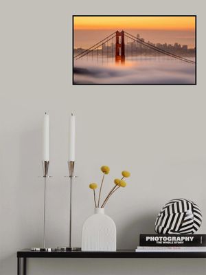 Karl, the San Francisco Fog