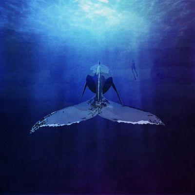 Ocean's Silent Giant