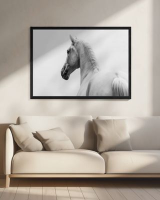 a short story about a shorn horse