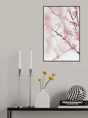 Cherry Blossom No.1
