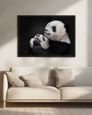 Pandas