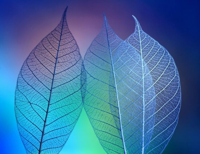 Prismatic leafs