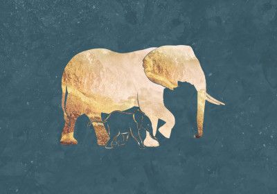 Gold Elephant Line art Silhouettes 2