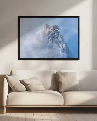 Vicissitudes of life