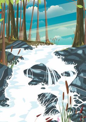 Forest Landscape With A Flowing Stream