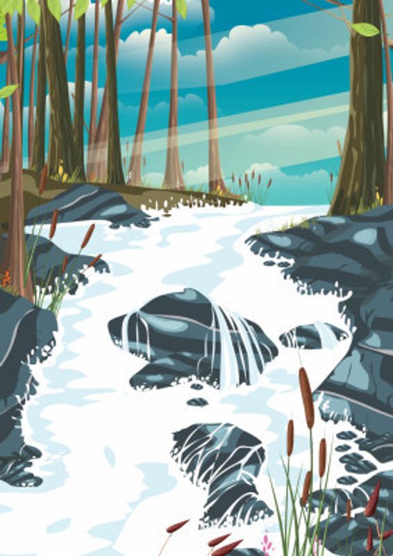 Forest Landscape With A Flowing Stream