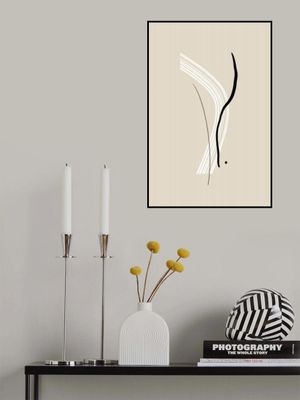 Elegant Black and White Lines