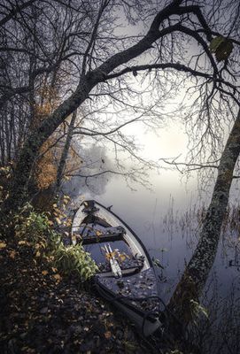 For everything is meant to end (Nothing here is built to last)