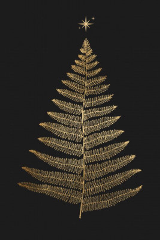 Shining Bright At Christmas Night