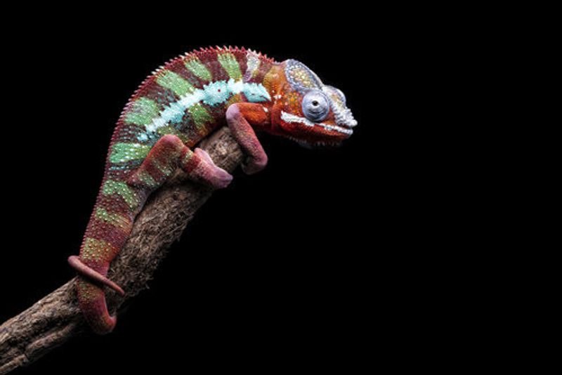 I Have An Eye On You