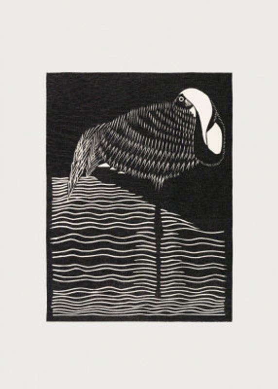 White–necked Crane