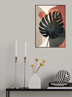 Tropical Silhouettes