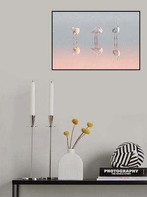 Three flamingos ...