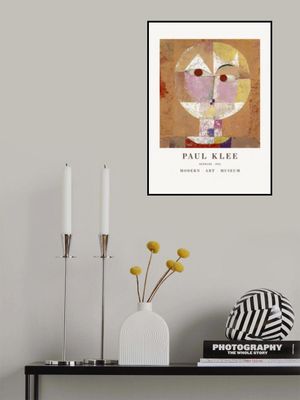 Senecio Baldgreis 1922