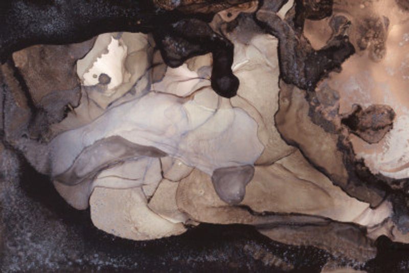 Earthy Tones and Swirling Patterns