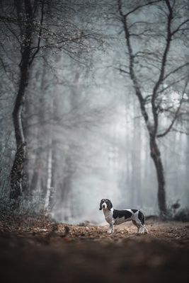 Come forth into the light of things, let Nature be your teacher." (William Wordsworth)