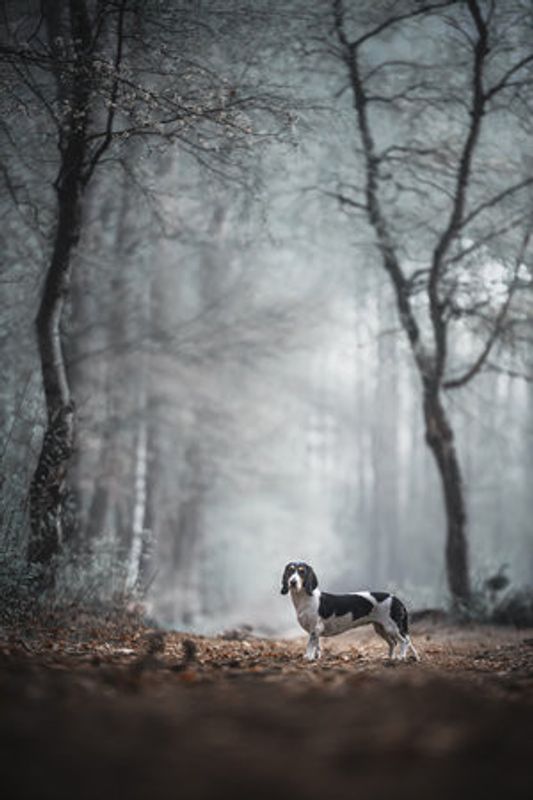 Come forth into the light of things, let Nature be your teacher." (William Wordsworth)