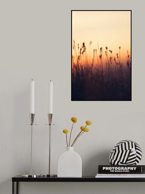 Silhouettes of Wild Grass