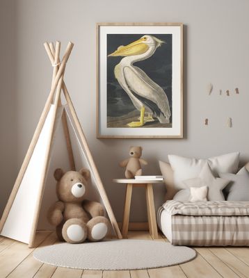 American White Pelican From Birds of America (1827)