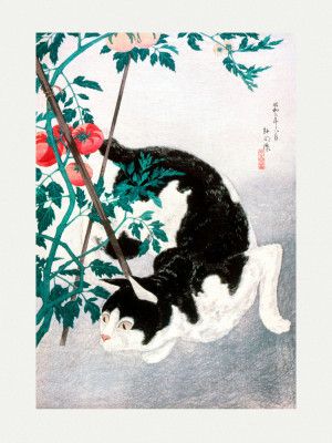 Cat With Tomato Plant (1931)