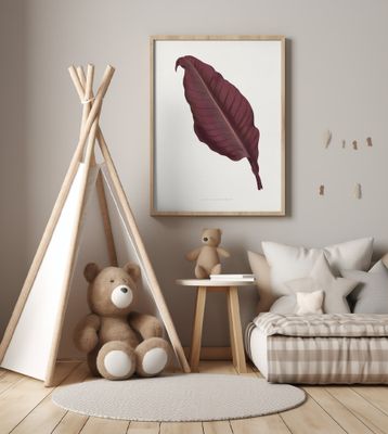 Pink Canna Atronigricans Leaf Illustration