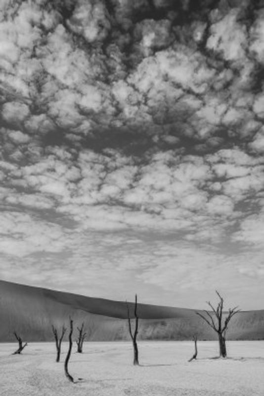 Black And White Desert Landscape