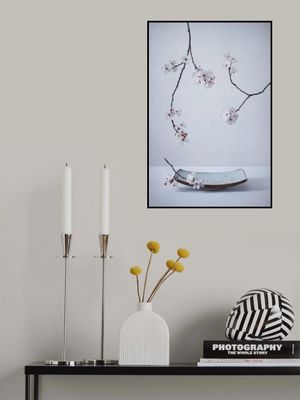 The First Cherry Blossom