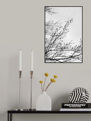 Winter Silhouettes 7