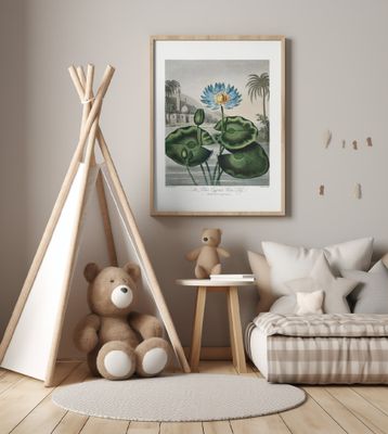 The Blue Egyptian Water-Lily from The Temple of Flora (1807)