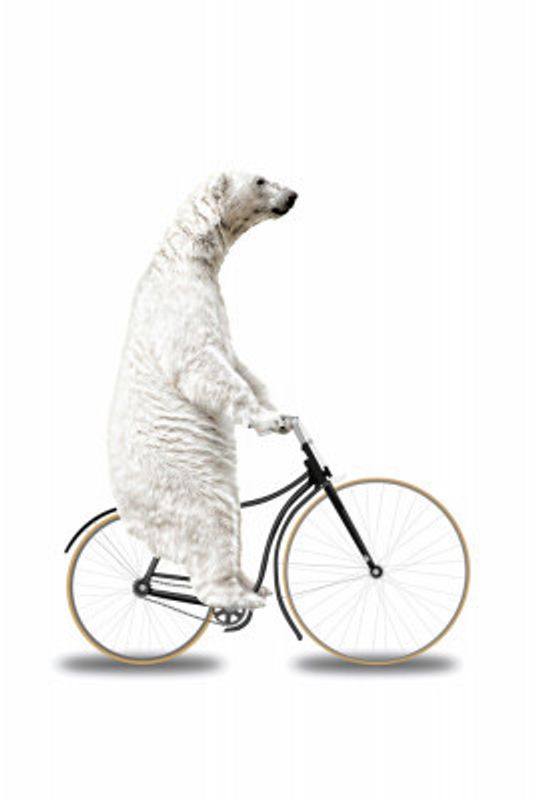 When You Think You've Seen Everything