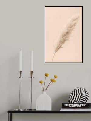 Pampas Grass Begie 14