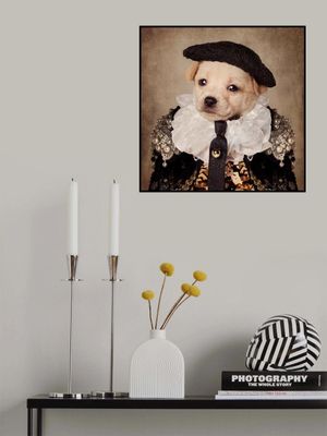 Shelter Pets project - Mia