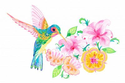 Patterned Hummingbird