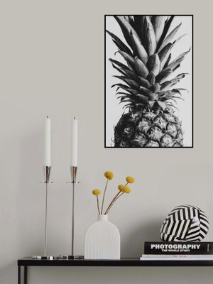 Pinapple Black &amp; White 04